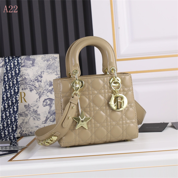 Dior Bags AAA 097